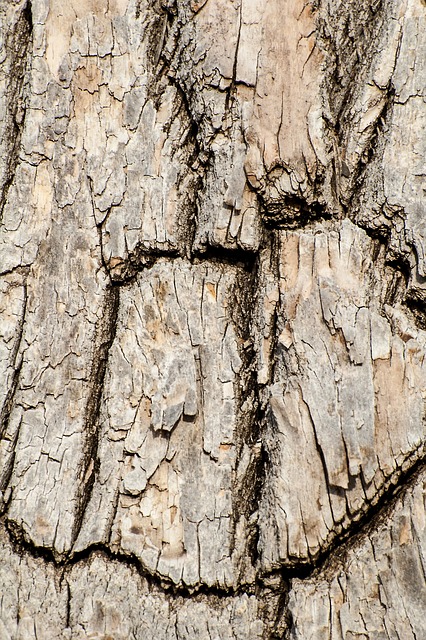 Foto do arquivo: fornecida por 【app para ganhar dinheiro via pix sem precisar depositar_ nada】