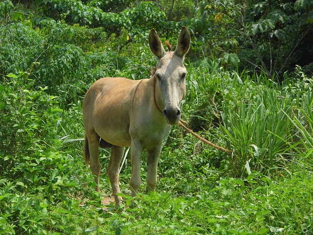 Foto do arquivo: fornecida por 【play n go】