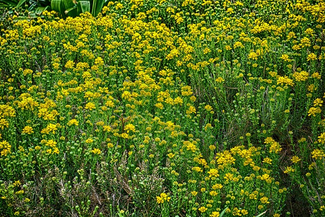 Foto do arquivo: fornecida por 【sorteio da quina do bolão】