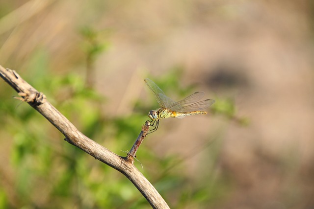 Foto do arquivo: fornecida por 【resultado mega sena conc 2518】