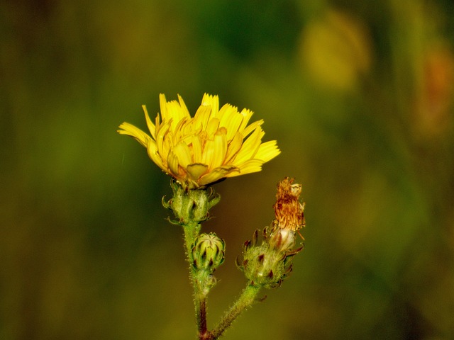 Foto do arquivo: fornecida por 【resultado loteria das 18 horas rs】