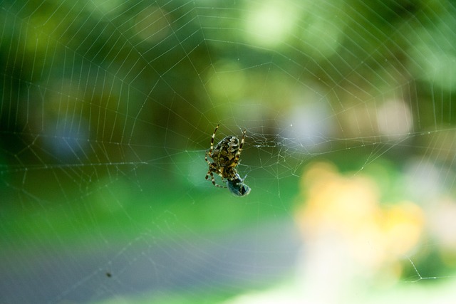 Foto do arquivo: fornecida por 【bet 365.com】