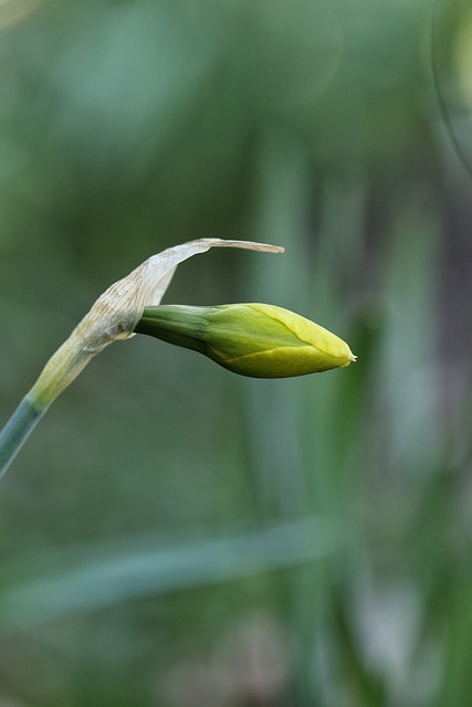 Foto do arquivo: fornecida por 【asia888】