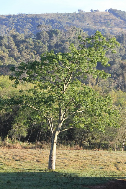 Foto do arquivo: fornecida por 【10 últimos resultados da quina】