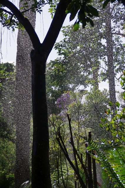 Foto do arquivo: fornecida por 【rtp pg】