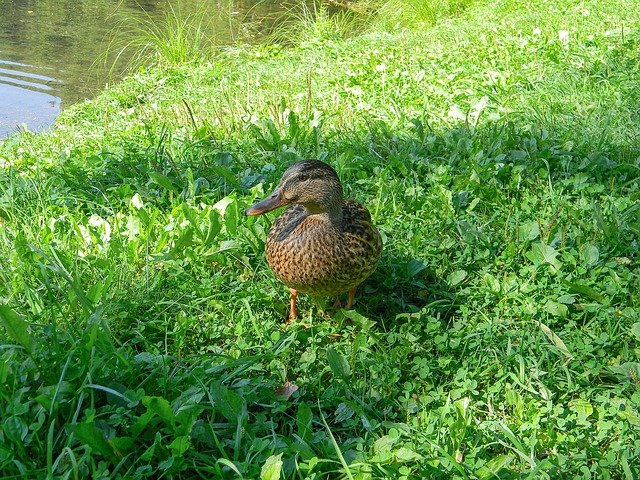 Foto do arquivo: fornecida por 【o que e poker】