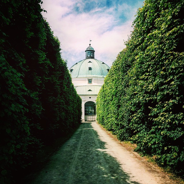 cassino de giro divertido