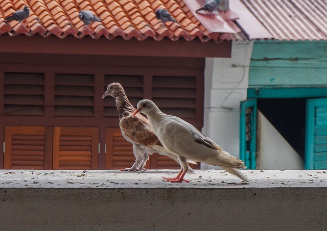 Foto do arquivo: fornecida por 【resultado do jogo da lotep de hoje】