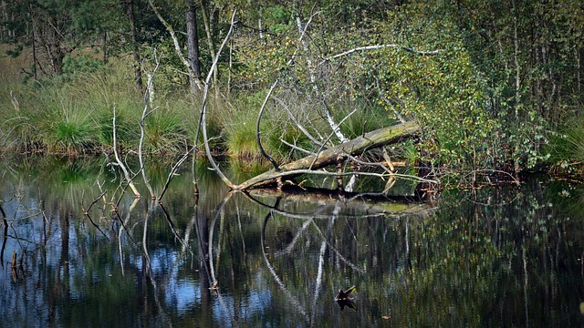 Foto do arquivo: fornecida por 【pousada praia cassino rs】