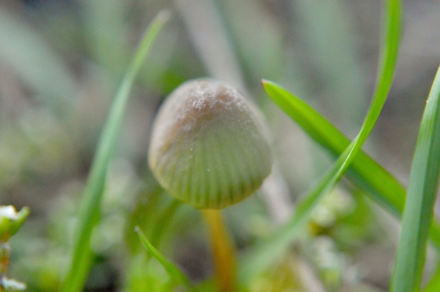 Foto do arquivo: fornecida por 【Sistema que compensa cadastro rápido pelo pix】