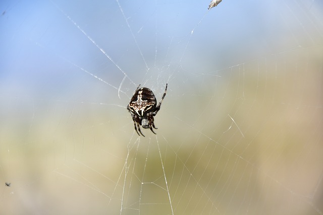 Foto do arquivo: fornecida por 【defina de】