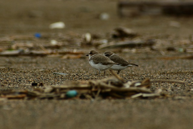 Foto do arquivo: fornecida por 【e o pix nada ainda】