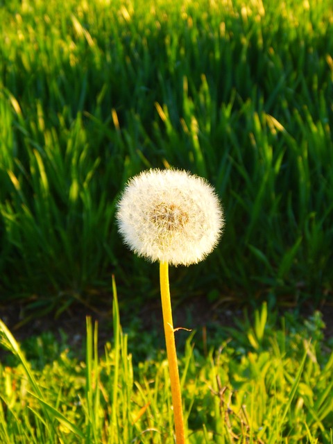 Foto do arquivo: fornecida por 【grupos vencedores da quina】