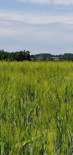 Foto do arquivo: fornecida por 【plataforma que da bônus no cadastro sem depósito】