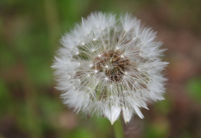 Foto do arquivo: fornecida por 【lodi777 ph】