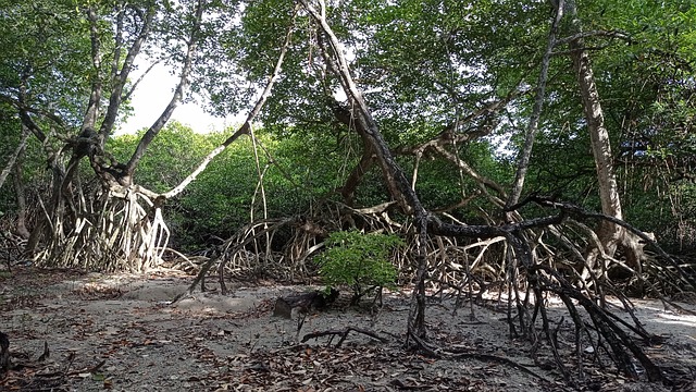 jogo de carro de areia