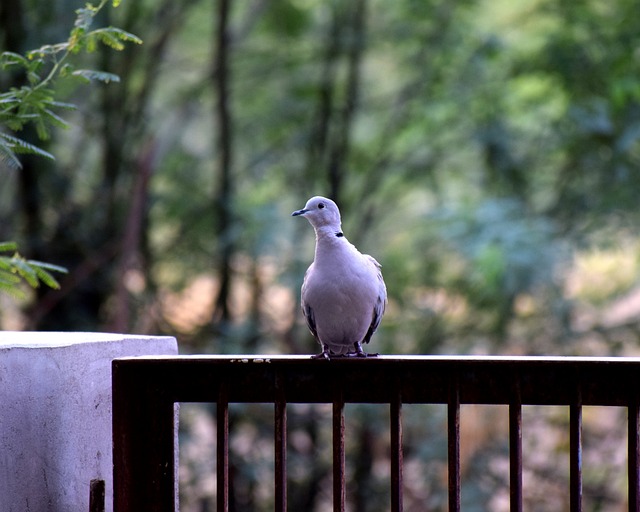 Foto do arquivo: fornecida por 【deunopostehoje resultado de hoje】