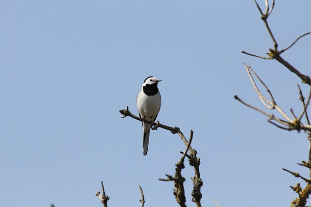 Foto do arquivo: fornecida por 【quina 5797】