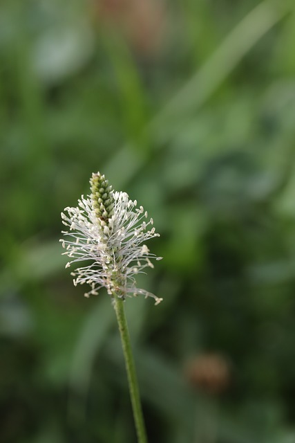 Foto do arquivo: fornecida por 【role ta】