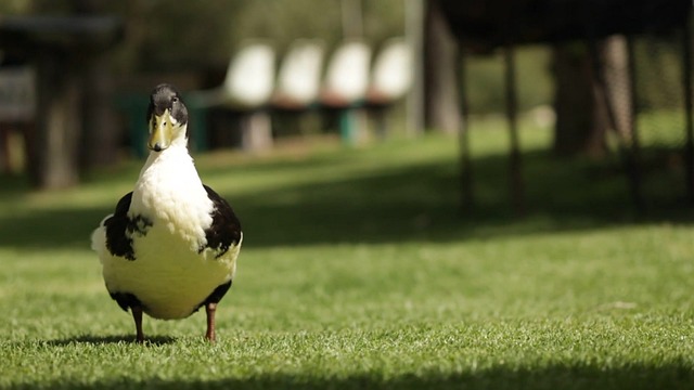 Foto do arquivo: fornecida por 【bet7 bônus】