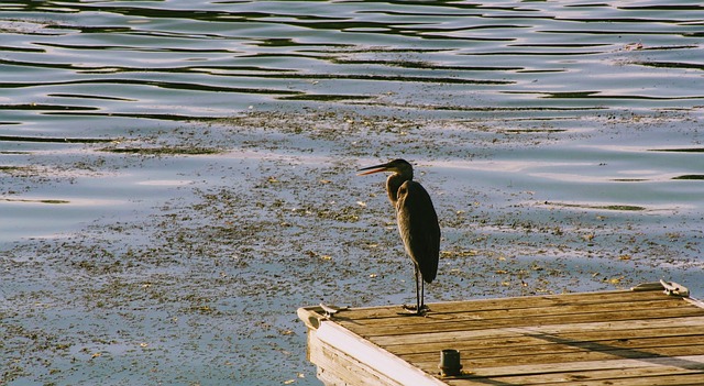 Foto do arquivo: fornecida por 【matrizes lotofácil】