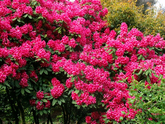 Foto do arquivo: fornecida por 【mega sena 1585 resultado】