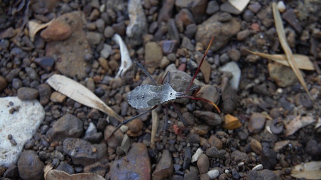 Foto do arquivo: fornecida por 【resultado da mega sena do concurso 1630】