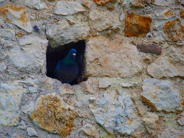 Foto do arquivo: fornecida por 【tenente-coronel】