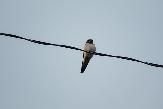 Foto do arquivo: fornecida por 【resultado loteria federal jogo do bicho sp】