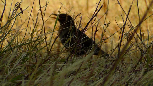 Foto do arquivo: fornecida por 【Crédito fácil via pix para quem tem nome sujo】