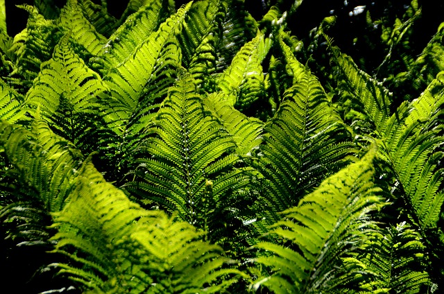 Foto do arquivo: fornecida por 【Dinheiro rápido e seguro via pix para negativados】