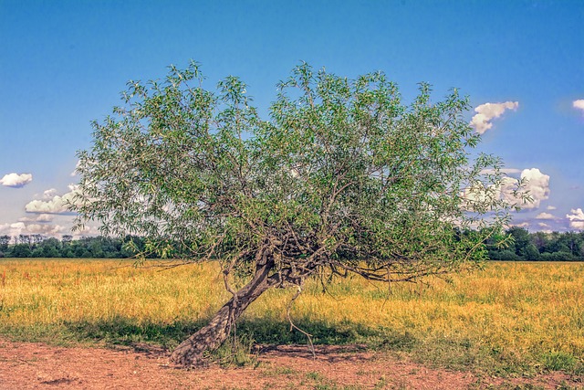 Foto do arquivo: fornecida por 【rivalo é seguro】