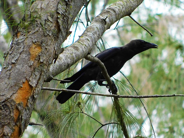 Foto do arquivo: fornecida por 【plataforma 669bet】