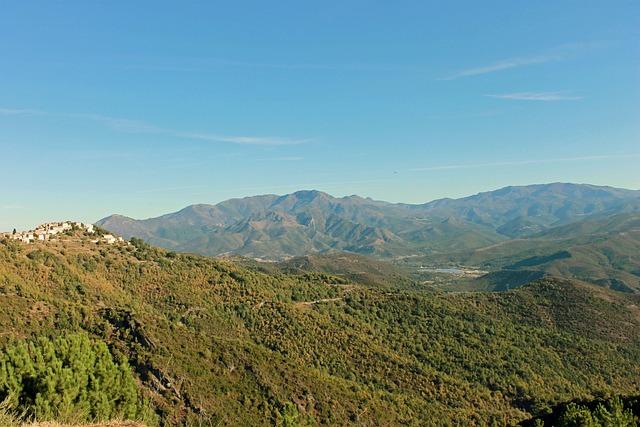 olympus cassino