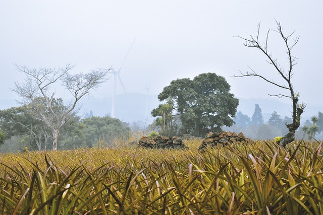 Foto do arquivo: fornecida por 【quais números saem mais na quina】