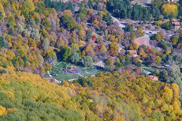 betano esportes