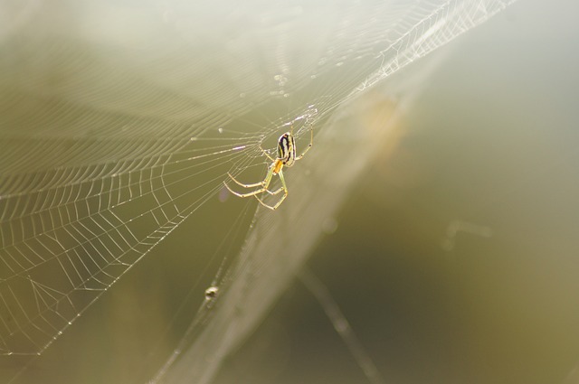 Foto do arquivo: fornecida por 【que bicho deu na loteria】