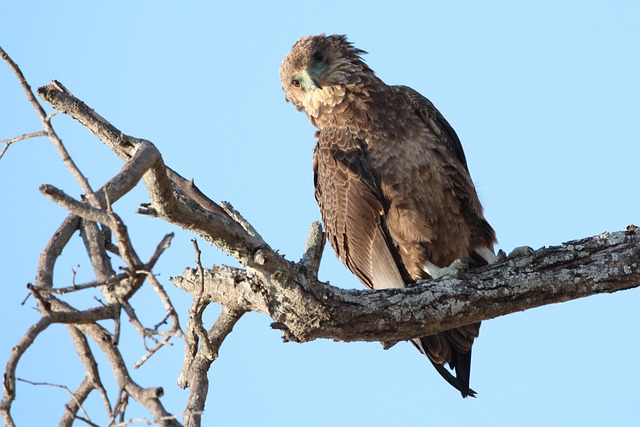 Foto do arquivo: fornecida por 【resultado do bicho de minas gerais_ hoje】