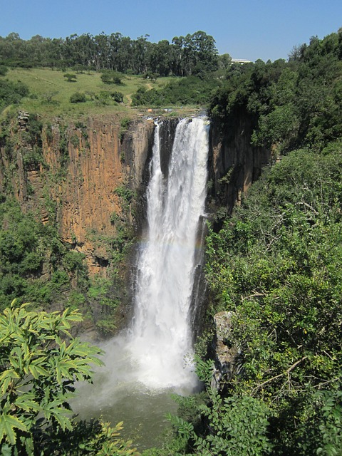 Poki Simulação