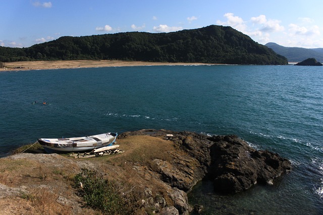 Foto do arquivo: fornecida por 【Sistema novo remunerando】