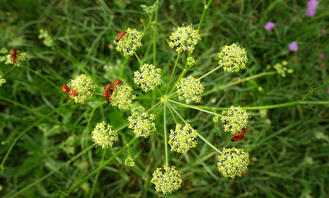 Foto do arquivo: fornecida por 【estagiario loteria】