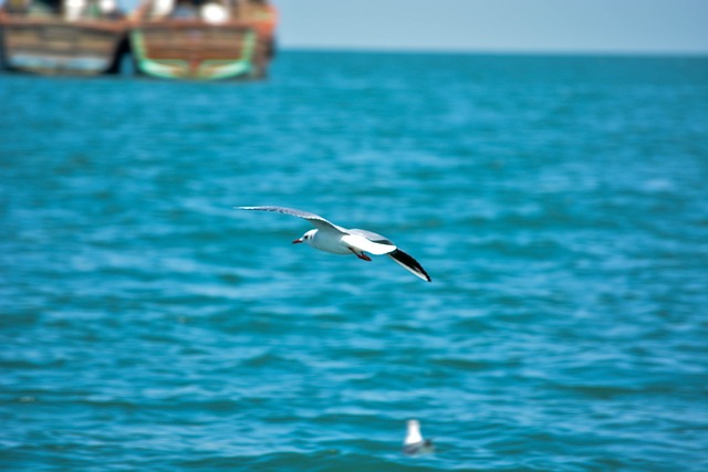 Foto do arquivo: fornecida por 【resultado da mega sena 84】