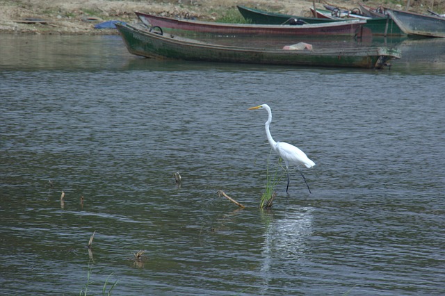 Foto do arquivo: fornecida por 【resultado da loteria federal do dia 23 de junho】