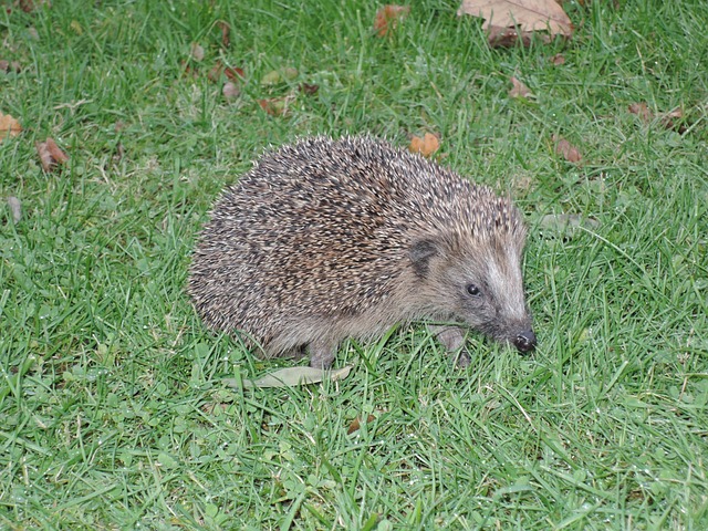 Foto do arquivo: fornecida por 【jbo680】