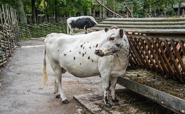 joguinho de bingo