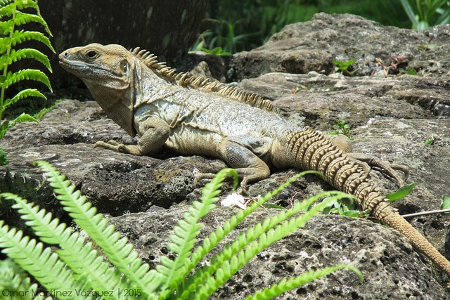 Foto do arquivo: fornecida por 【jogo grátis e online】