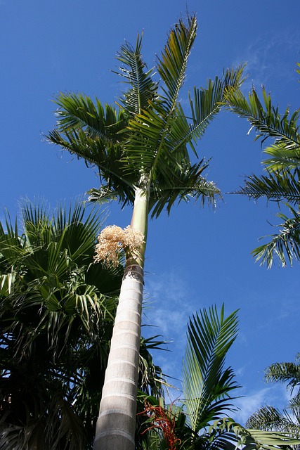 Foto do arquivo: fornecida por 【jogo da fazenda verde 2】