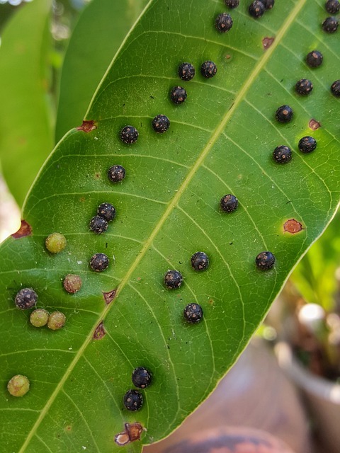 Foto do arquivo: fornecida por 【resultado da lotofácil do dia 18 hoje】