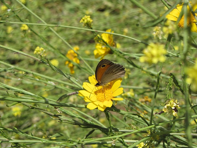 Foto do arquivo: fornecida por 【resultado mega sena 1979】