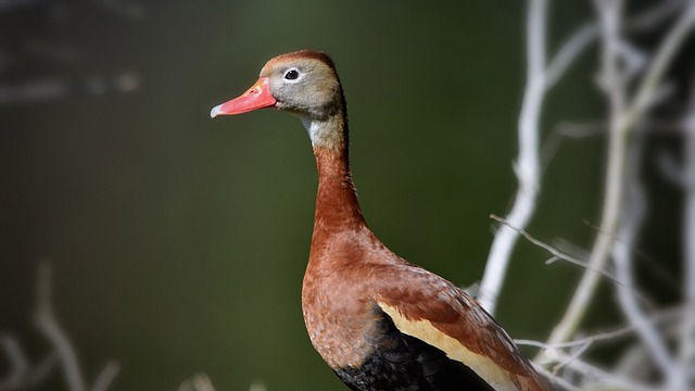 Foto do arquivo: fornecida por 【resultado bicho da paraiba、resultado do bicho da paraíba lotep】